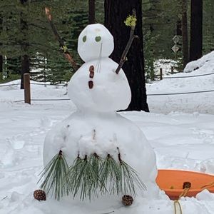 Meet your Posher, Shandre